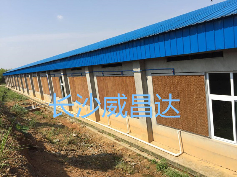 夏季燒烤模式開(kāi)啟，您的養(yǎng)殖畜禽舍降溫了嗎？湖南水簾風(fēng)機(jī)專業(yè)為養(yǎng)殖畜禽舍降溫